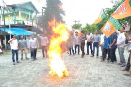 protest