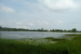 ঐতিহাসিক ৰাধাপুখুৰী পৰ্যৱসিত হৈছে পিতনিলৈ