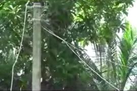 বিদ্যুৎ বিভাগৰ গাফিলতিঃ বিদ্যুৎ পৰিবাহী তাঁৰ ছিগি পৰি থাকিল বিদ্যালয়ৰ সন্মুখত