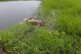 নগাঁৱত মহিলাৰ অৰ্ধগলিত মৃতদেহ উদ্ধাৰ