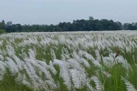 শৰতে আনে মাজুলীবাসীৰ মাজলৈ সৰল জীৱন গাঁথা 