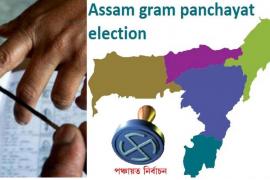জিলা পৰিষদ গঠন সন্দৰ্ভত কংগ্ৰেছৰ ১১খন জিলাৰ পৰ্যবেক্ষক নিযুক্তি