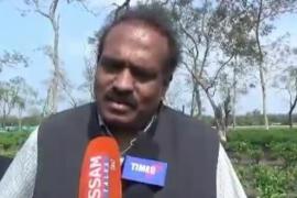 গহপুৰৰ বাগিচাই বাগিচাই ভানু