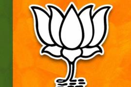 bjp