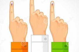 vote