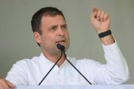 rahul 