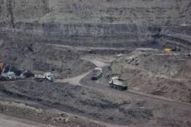 Coal