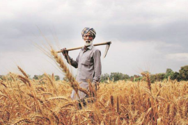 Farmer