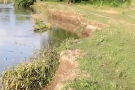 Majuli
