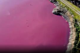 Pink water