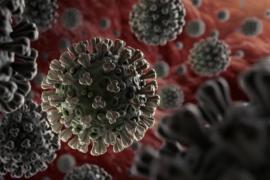 Corona virus