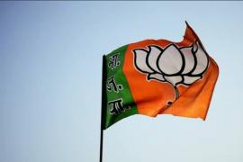 BJP flag
